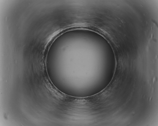 X0000103291168200809051453