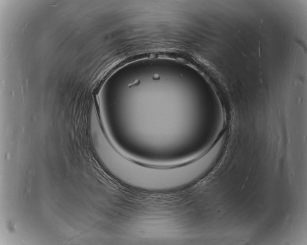 X0000103291169200809051453