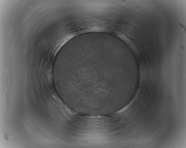 X0000103291170200809051453