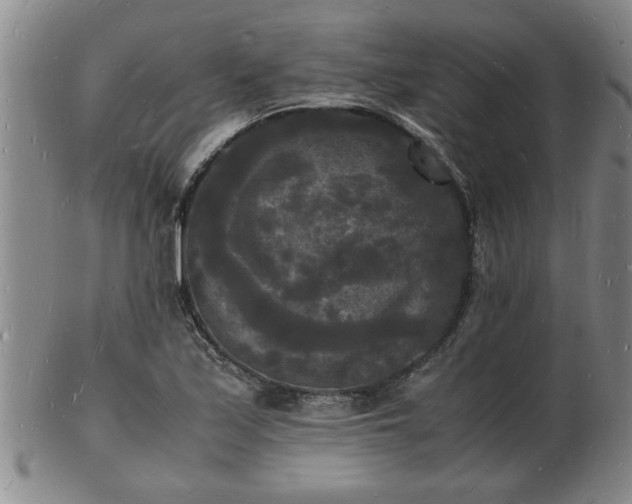 X0000103291171200809051453