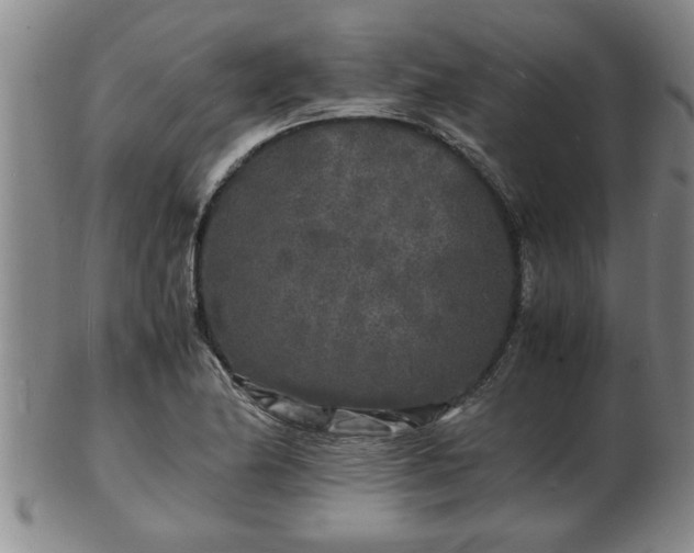 X0000103291174200809051453