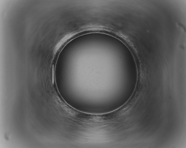 X0000103291175200809051453