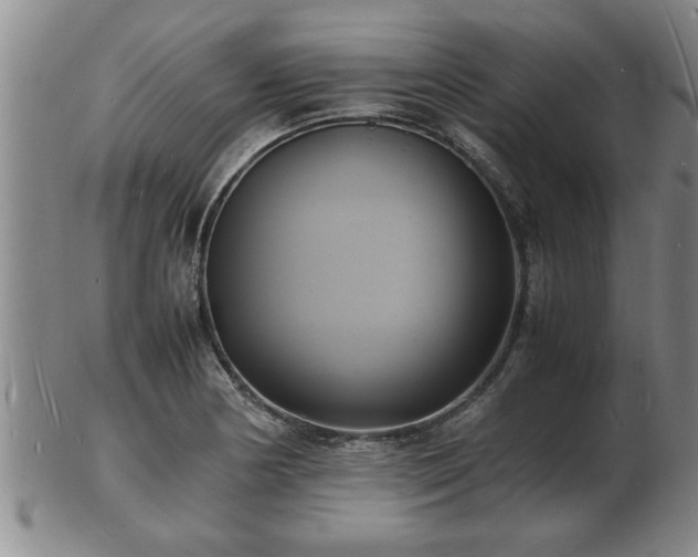 X0000103291178200809051452