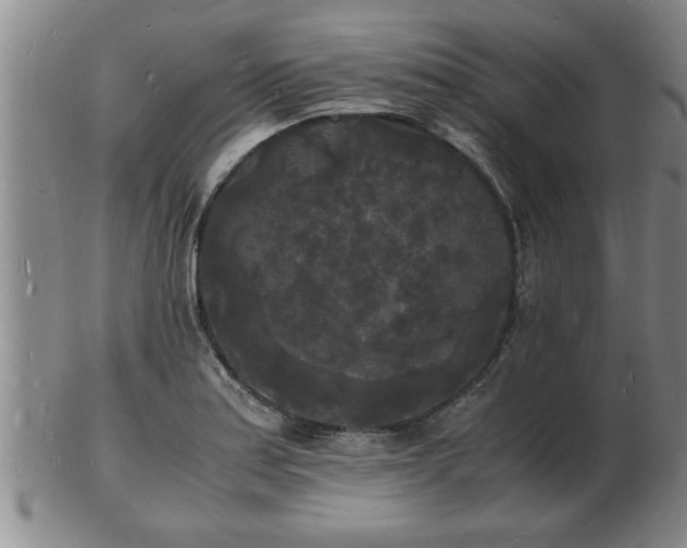 X0000103291179200809051452