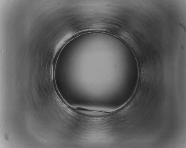 X0000103291180200809051452