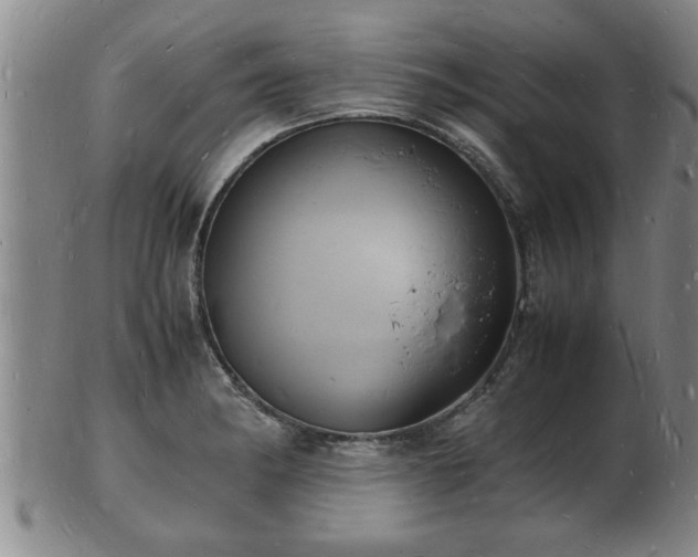 X0000103291182200809051452