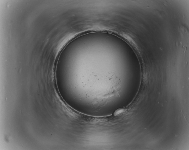 X0000103291183200809051452