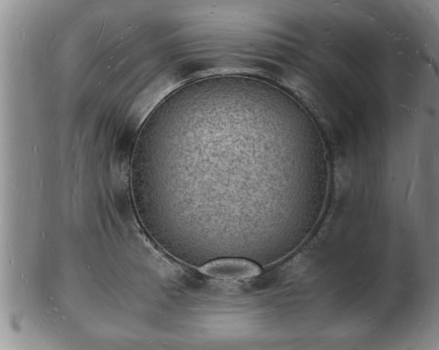 X0000103291185200809051452