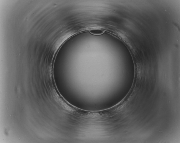 X0000103291186200809051452