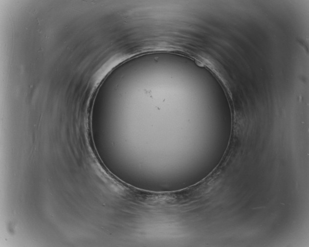 X0000103291187200809051452