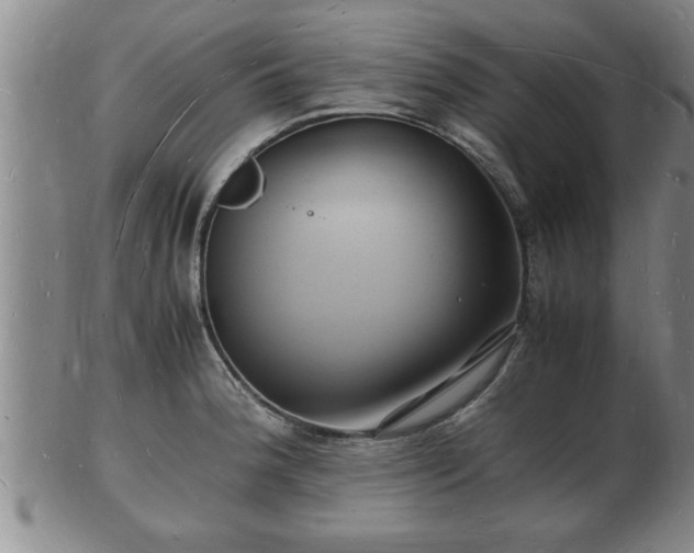 X0000103291188200809051452