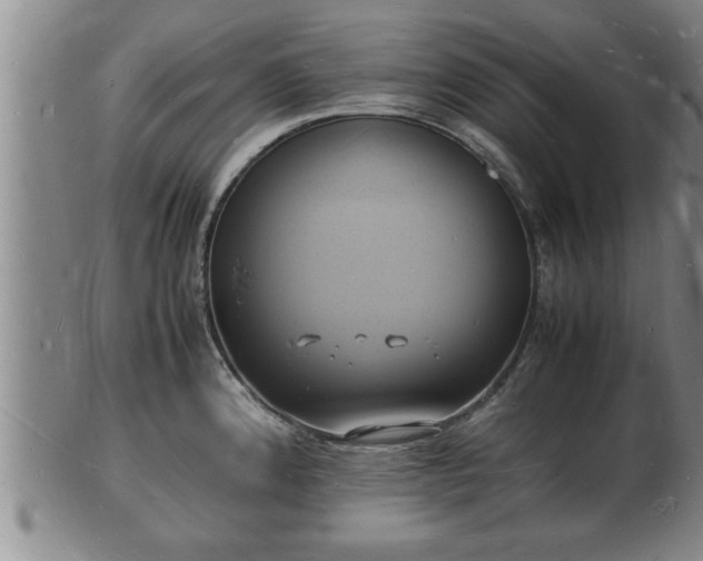 X0000103291192200809051452