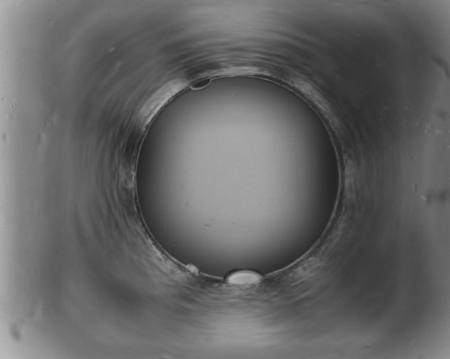 X0000103291193200809051452