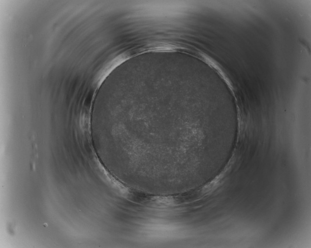 X0000103291194200809051452