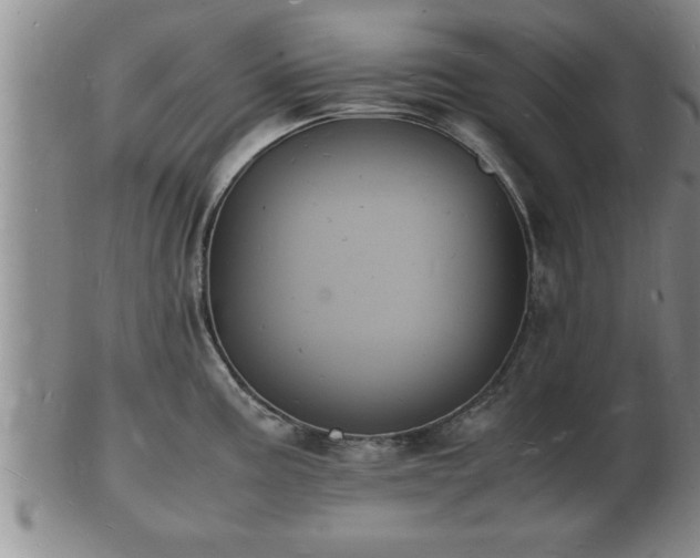 X0000103291195200809051452