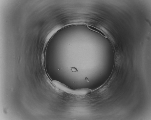 X0000103291196200809051452