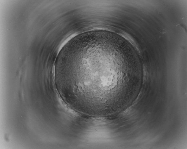 X0000103291198200809051452