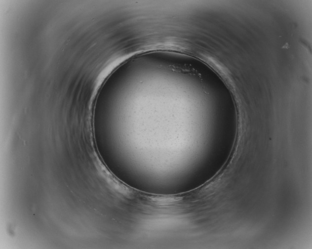 X0000103291200200809051452