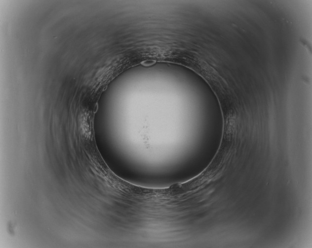 X0000103291202200809051451