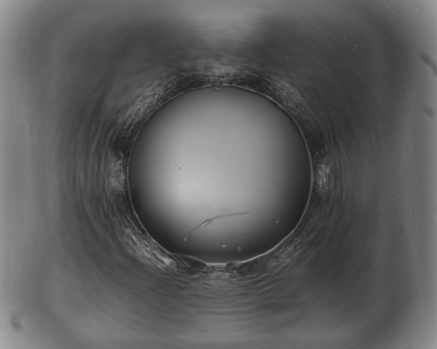 X0000103291204200809051451