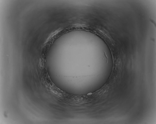 X0000103291207200809051451