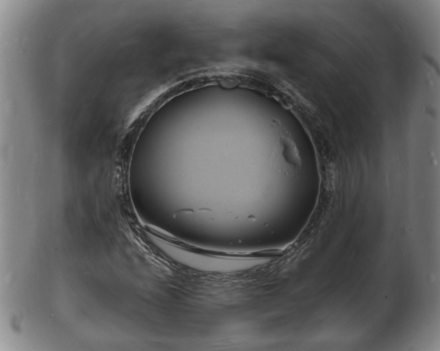 X0000103291208200809051451