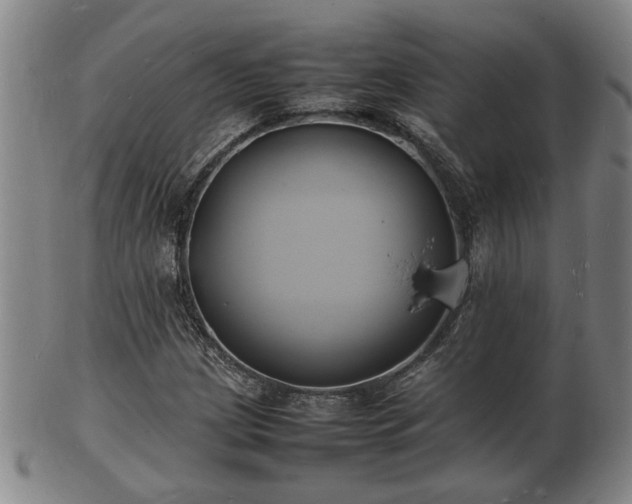 X0000103291209200809051451