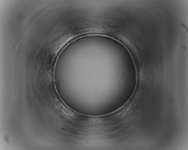 X0000103291212200809051452