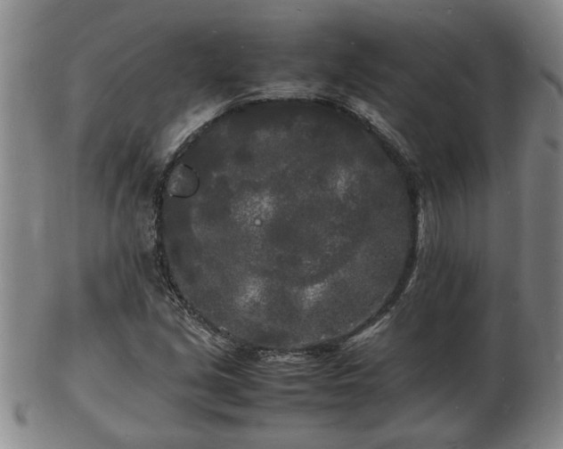 X0000103291213200809051452