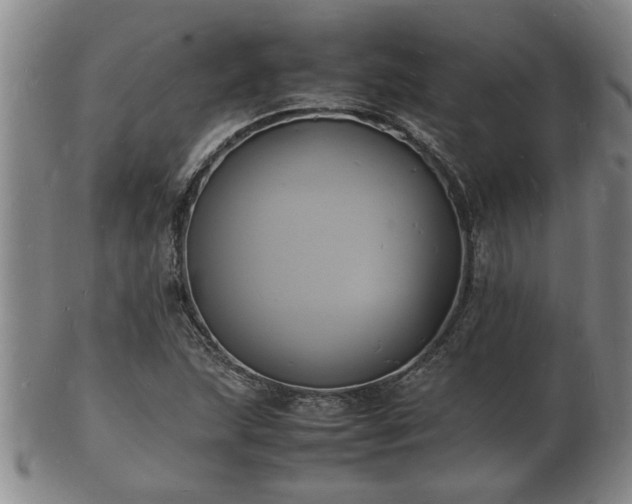 X0000103291215200809051452