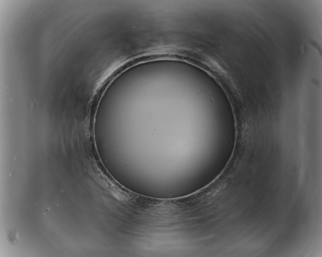 X0000103291216200809051452