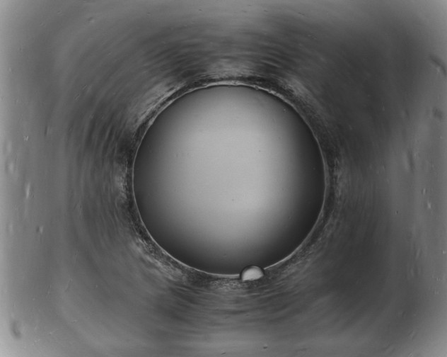 X0000103291217200809051452