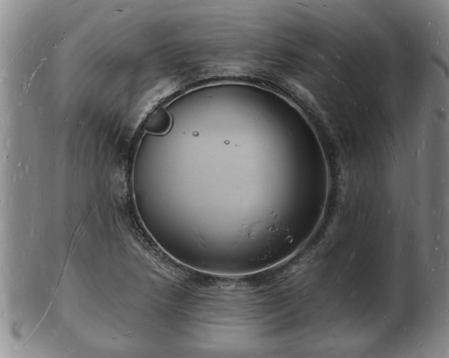 X0000103291218200809051452