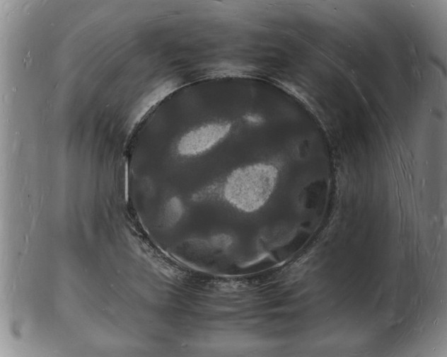 X0000103291219200809051452