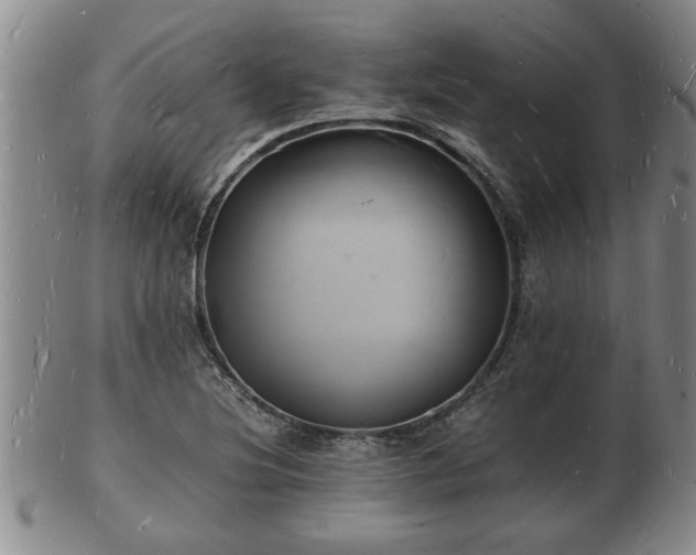 X0000103291220200809051452