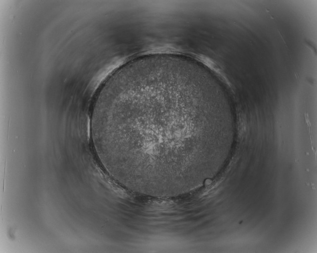 X0000103291221200809051452