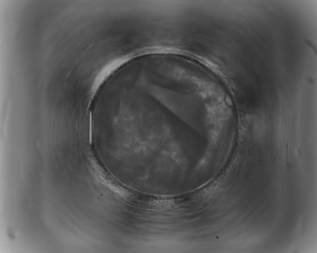 X0000103291223200809051452