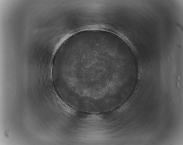 X0000103291224200809051452