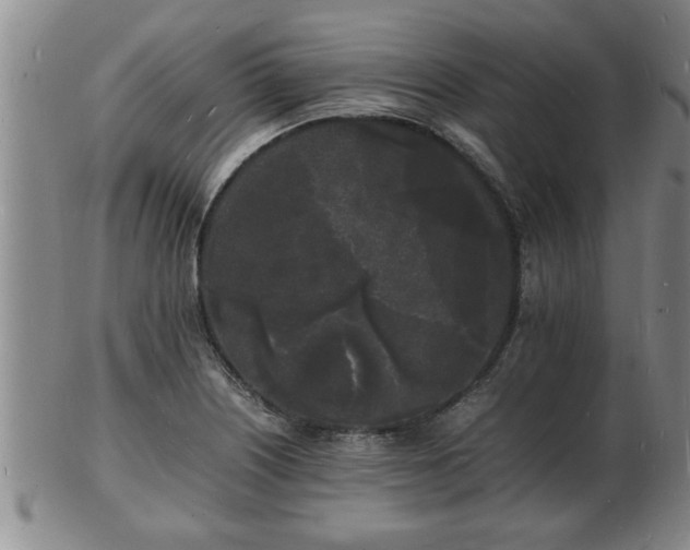 X0000103291226200809051452