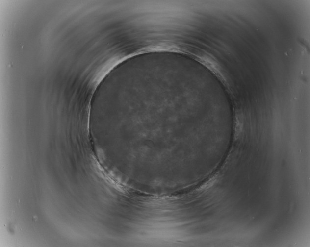 X0000103291228200809051452