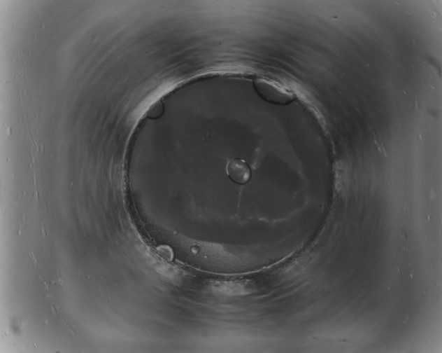 X0000103291229200809051452