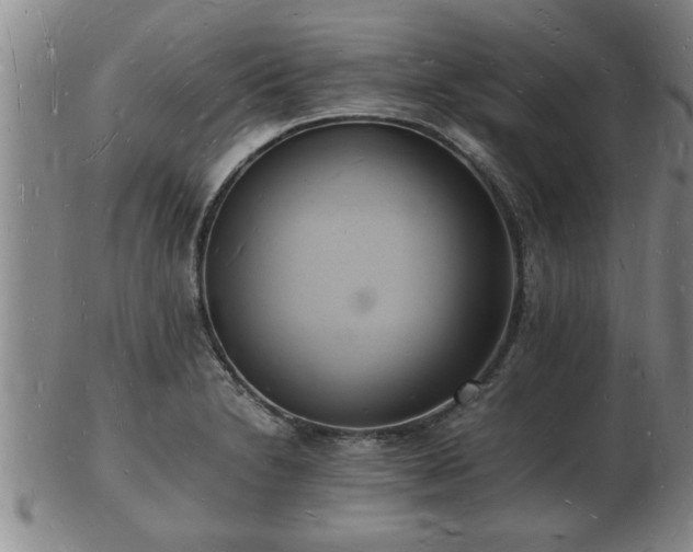 X0000103291230200809051452