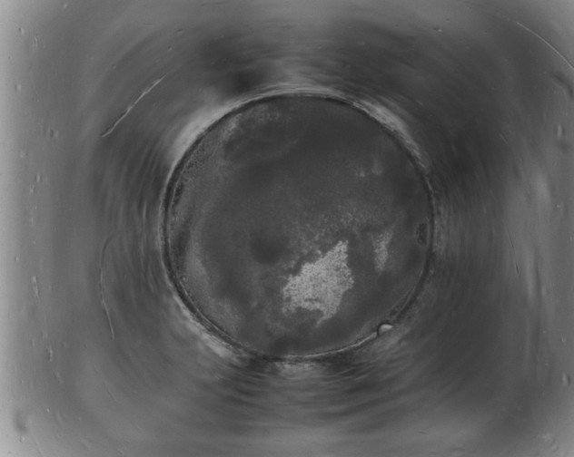 X0000103291231200809051452