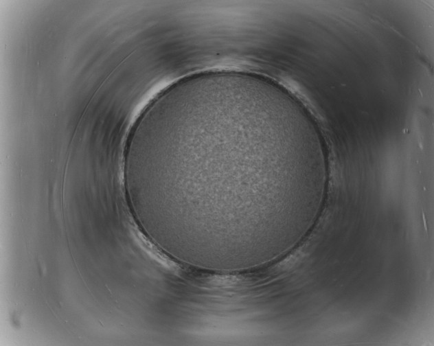 X0000103291232200809051452