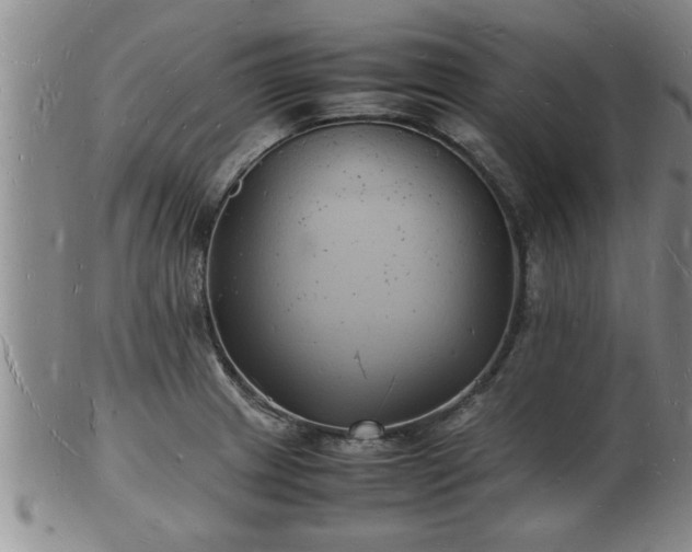 X0000103291233200809051452