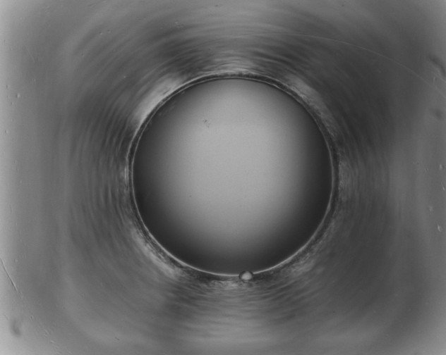 X0000103291234200809051452