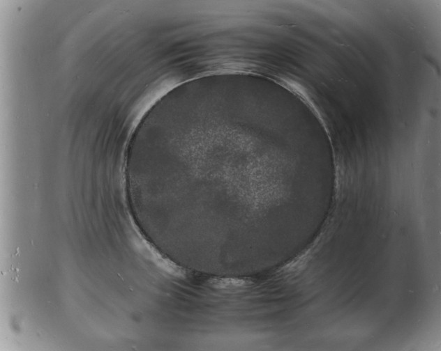 X0000103291235200809051452