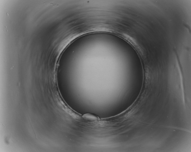 X0000103291236200809051452