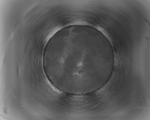 X0000103291237200809051452