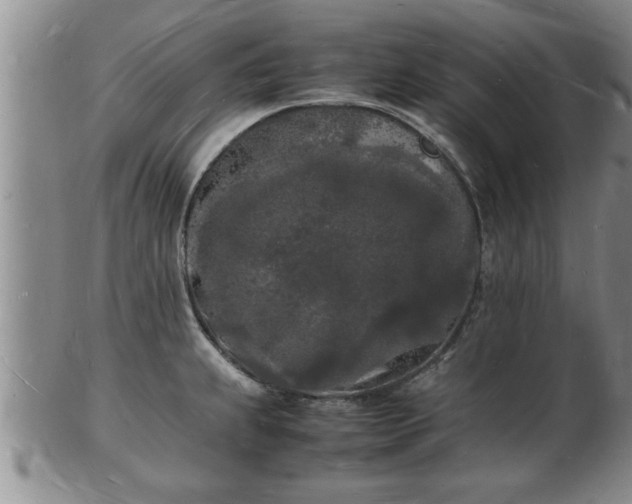 X0000103291239200809051452